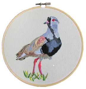 Queltehue